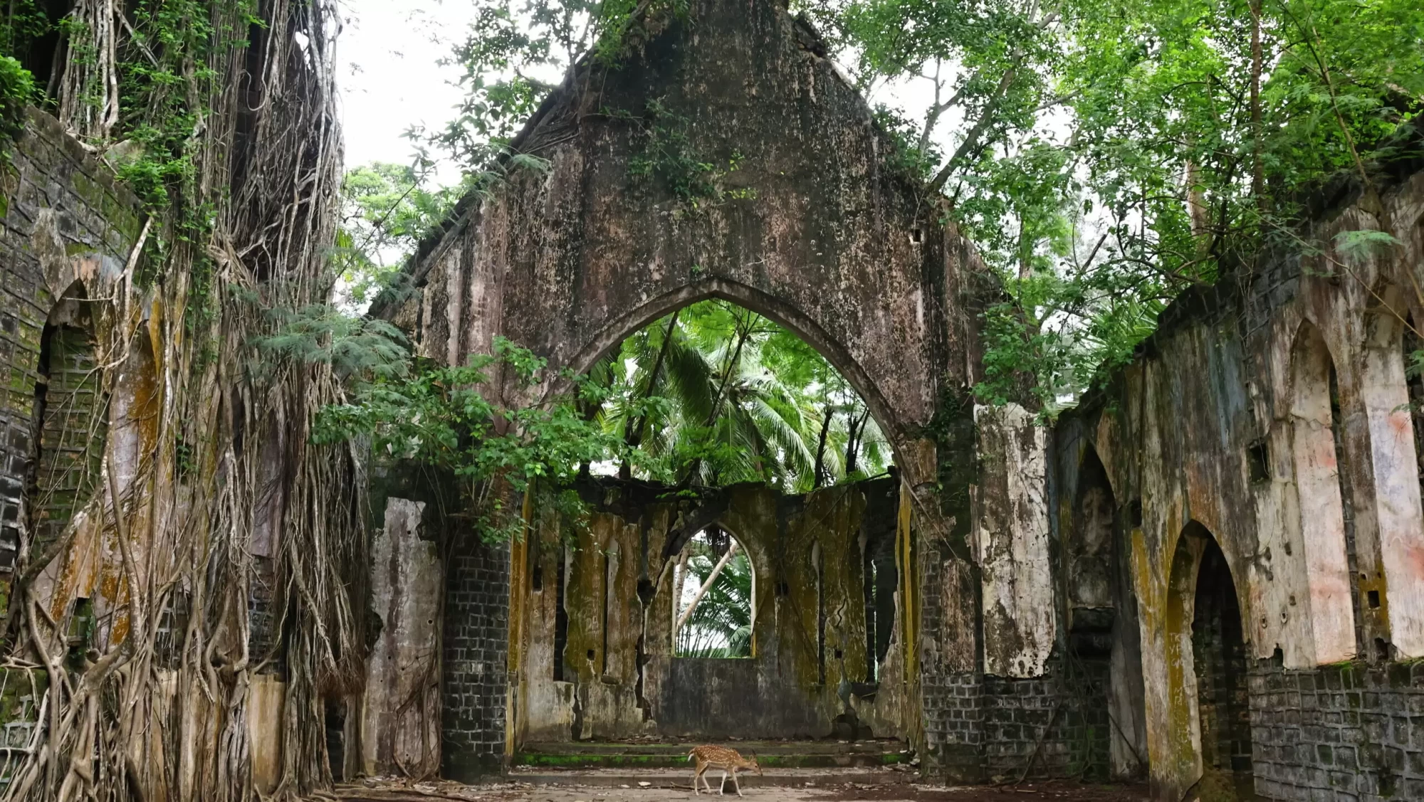 Copy-of-Copy-of-Copy-of-1R6A1099-scaled-e1735714885168