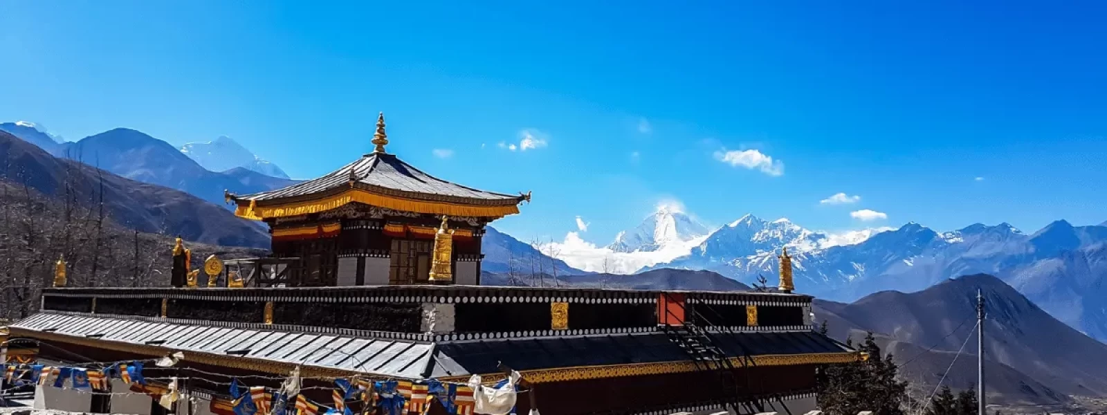 Muktinath Tours