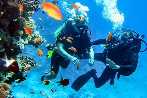 Scuba-diving - Andaman